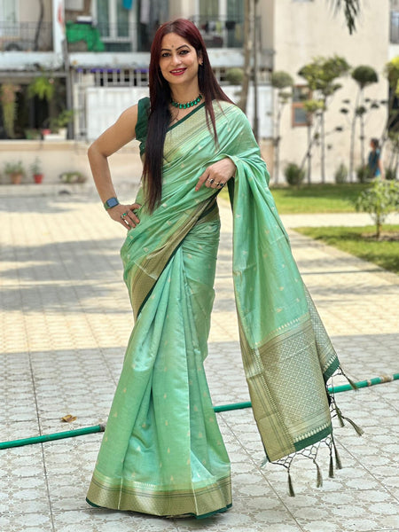 Reena Dwivedi In Banarsi Silk Saree. Available In 5 Colours.