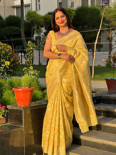 Reena Dwivedi In Banarsi Cotton Silk Saree. Available In 6 Colours.
