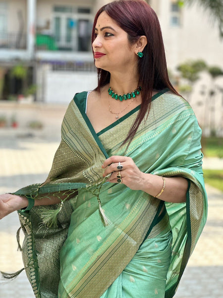 Reena Dwivedi In Banarsi Silk Saree. Available In 5 Colours.