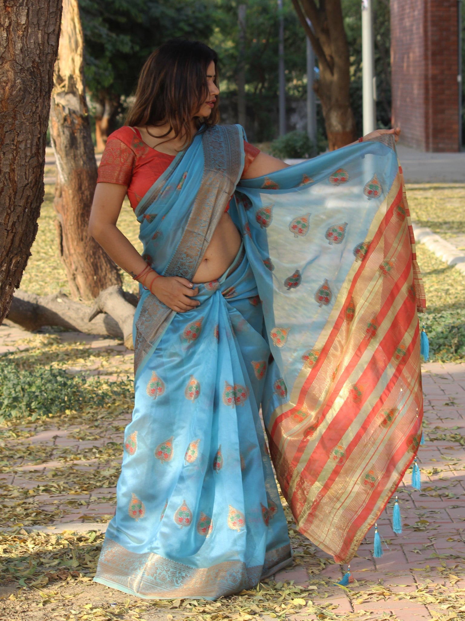 Megha Rathod In Banarsi Organza Saree With Booti Work. Available In 4 Colours.