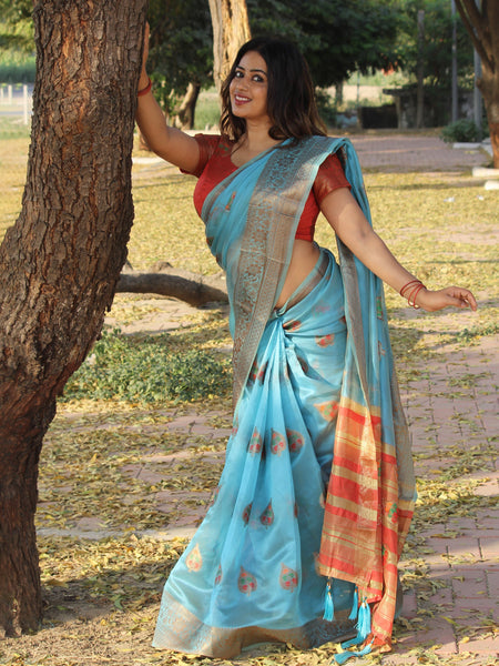 Megha Rathod In Banarsi Organza Saree With Booti Work. Available In 4 Colours.