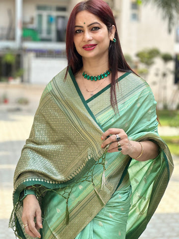 Reena Dwivedi In Banarsi Silk Saree. Available In 5 Colours.