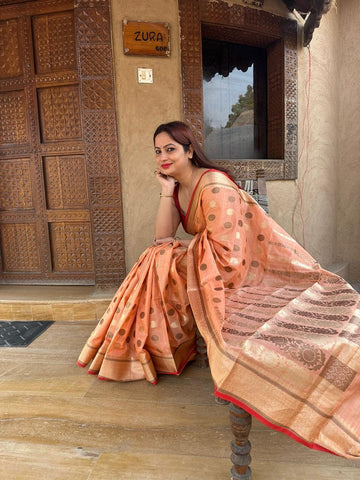 Reena Dwivedi In Banarsi Cotton Silk Designer Saree. Available In 5 Colours.