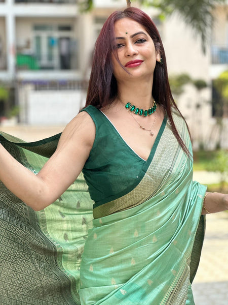 Reena Dwivedi In Banarsi Silk Saree. Available In 5 Colours.