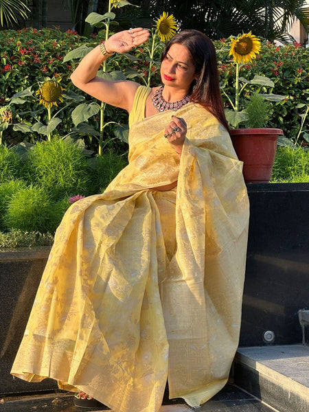 Reena Dwivedi In Banarsi Cotton Silk Saree. Available In 6 Colours.