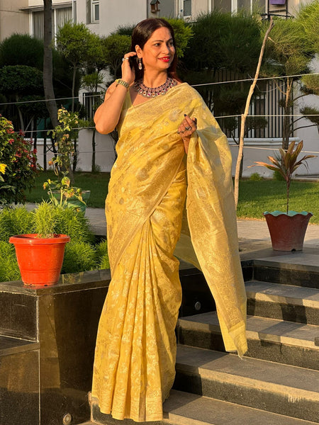 Reena Dwivedi In Banarsi Cotton Silk Saree. Available In 6 Colours.