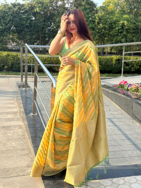Reena Dwivedi In Banarsi Silk Saree. Available in 6 colours.