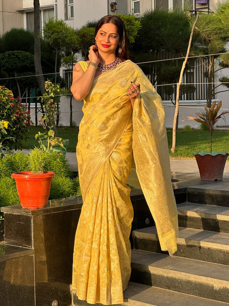 Reena Dwivedi In Banarsi Cotton Silk Saree. Available In 6 Colours.
