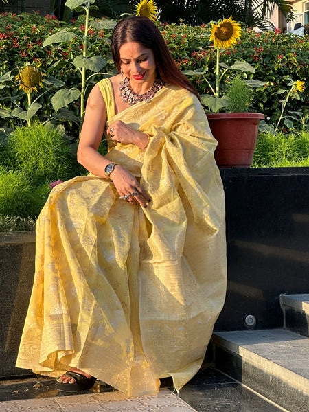 Reena Dwivedi In Banarsi Cotton Silk Saree. Available In 6 Colours.