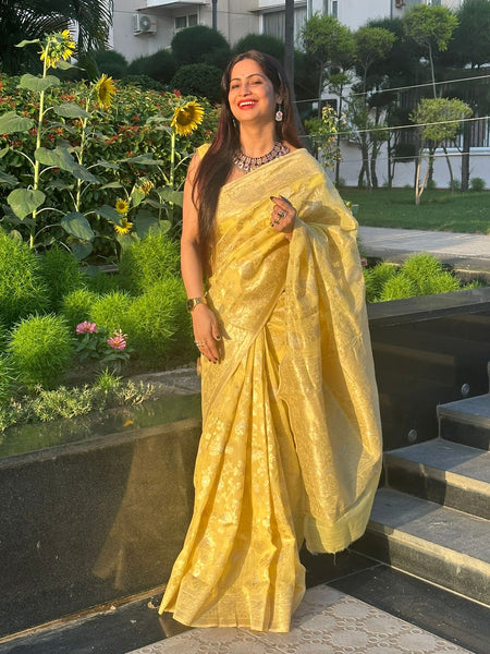 Reena Dwivedi In Banarsi Cotton Silk Saree. Available In 6 Colours.