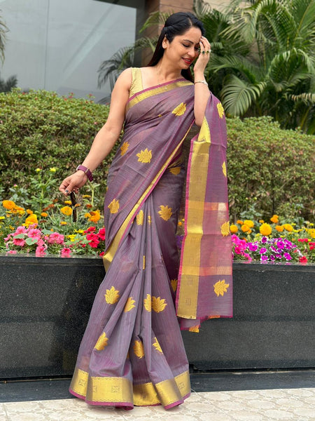 Reena Dwivedi In Designer Linen Saree With Zari Pallu