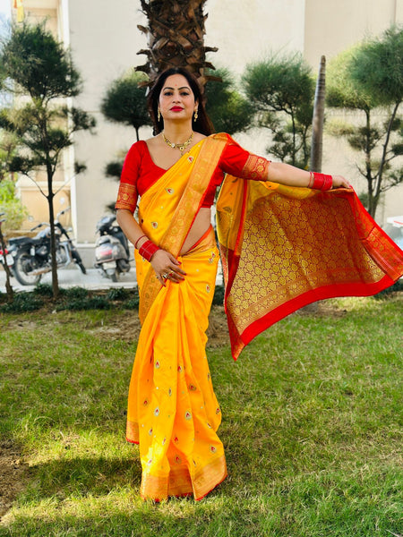Reena Dwivedi In Banarsi Silk Saree. Available In 4 Colours.