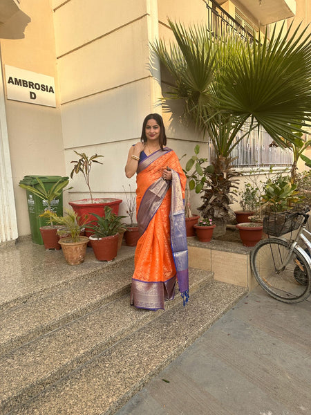 Reena Dwivedi In Banarsi Georgette Silk Sari. Available In 3 Colours