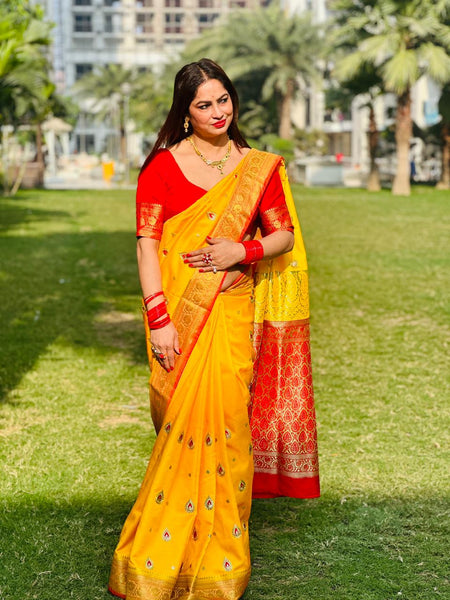 Reena Dwivedi In Banarsi Silk Saree. Available In 4 Colours.