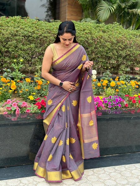 Reena Dwivedi In Designer Linen Saree With Zari Pallu