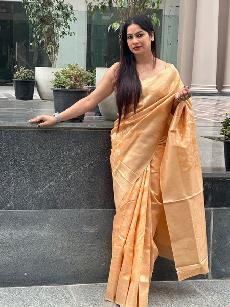 Reena Dwivedi In Designer Blended Linen Saree. Available In 6 Colours.