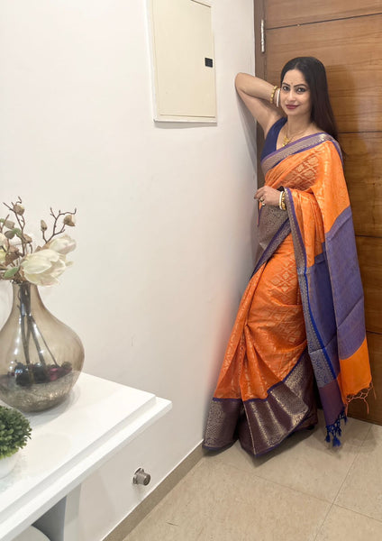 Reena Dwivedi In Banarsi Georgette Silk Sari. Available In 3 Colours
