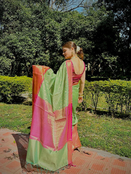 Naveena Kapoor In Banarsi Georgette Silk Sari. Available In 2 Colours