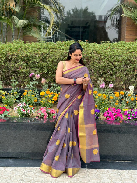 Reena Dwivedi In Designer Linen Saree With Zari Pallu