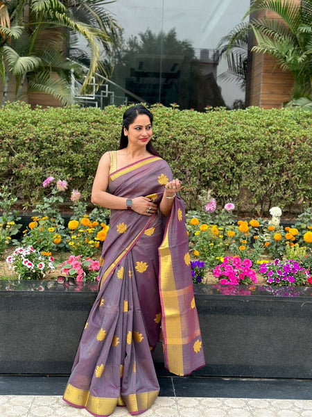 Reena Dwivedi In Designer Linen Saree With Zari Pallu