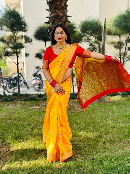 Reena Dwivedi In Banarsi Silk Saree. Available In 4 Colours.