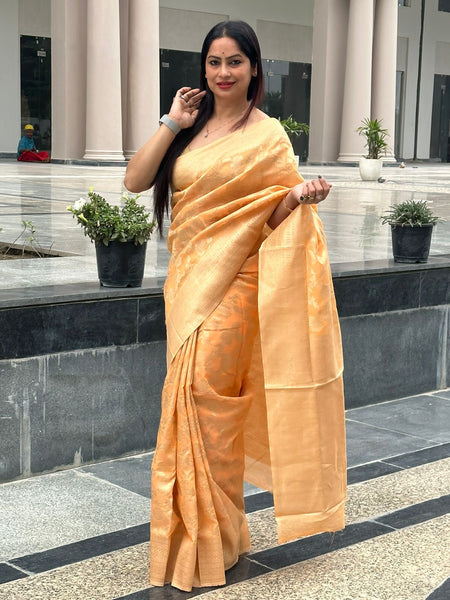 Reena Dwivedi In Designer Blended Linen Saree. Available In 6 Colours.