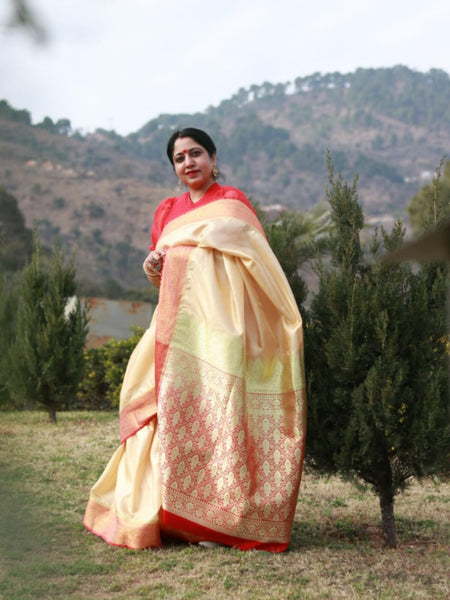 Ramya Pathak In Banarsi Saree. Available In 4 Colours.
