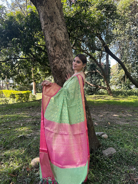 Naveena Kapoor In Banarsi Georgette Silk Sari. Available In 2 Colours