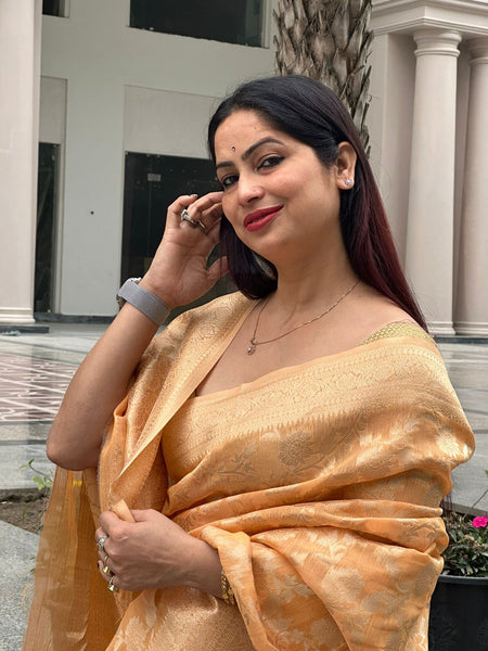 Reena Dwivedi In Designer Blended Linen Saree. Available In 6 Colours.