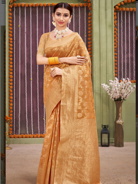 Reena Dwivedi In Designer Blended Linen Saree. Available In 6 Colours.