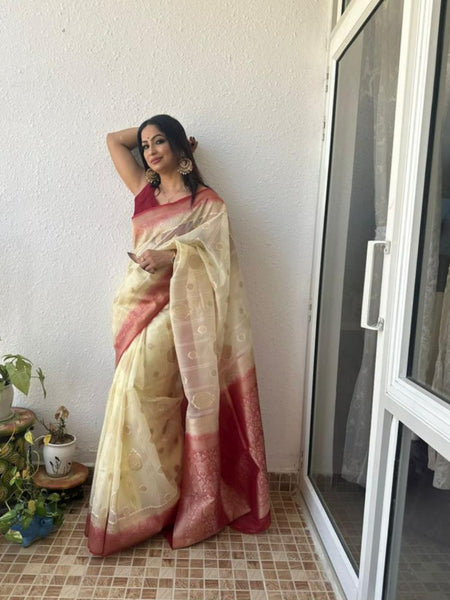 Reena Dwivedi In Banarsi Kora Silk With Contrast . Available In 3 Colours.