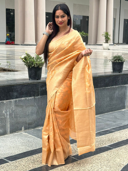 Reena Dwivedi In Designer Blended Linen Saree. Available In 6 Colours.
