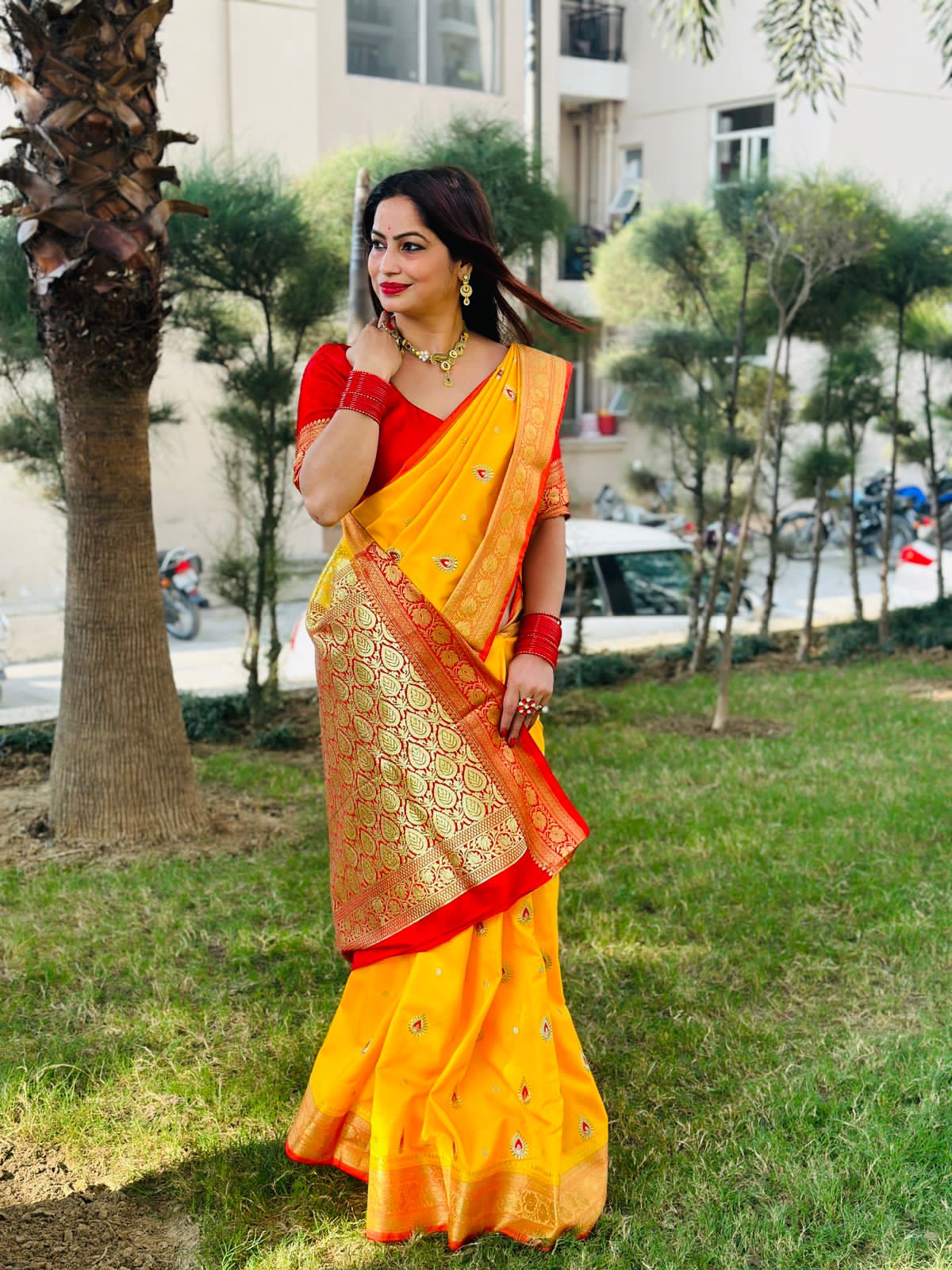 Reena Dwivedi In Banarsi Silk Saree. Available In 4 Colours.