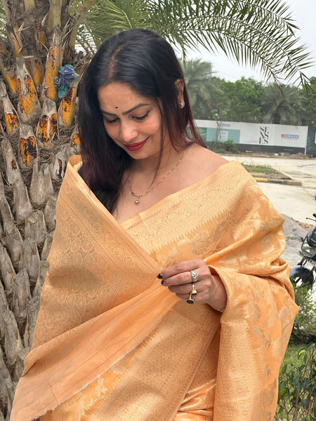 Reena Dwivedi In Designer Blended Linen Saree. Available In 6 Colours.