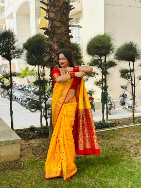 Reena Dwivedi In Banarsi Silk Saree. Available In 4 Colours.
