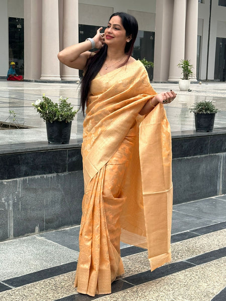 Reena Dwivedi In Designer Blended Linen Saree. Available In 6 Colours.