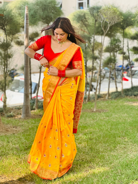 Reena Dwivedi In Banarsi Silk Saree. Available In 4 Colours.
