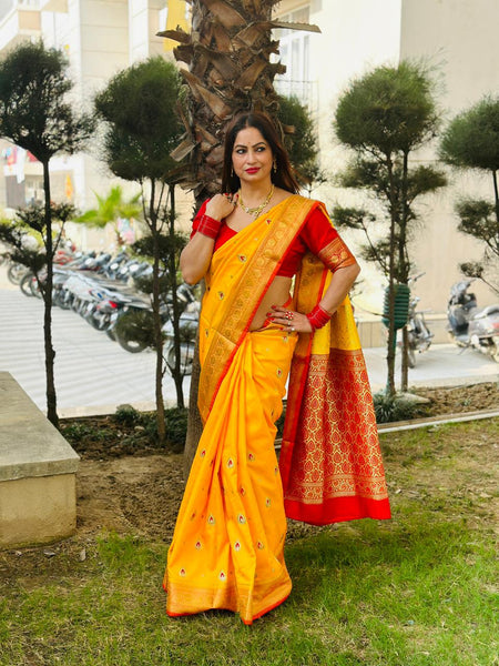Reena Dwivedi In Banarsi Silk Saree. Available In 4 Colours.