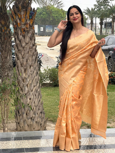 Reena Dwivedi In Designer Blended Linen Saree. Available In 6 Colours.