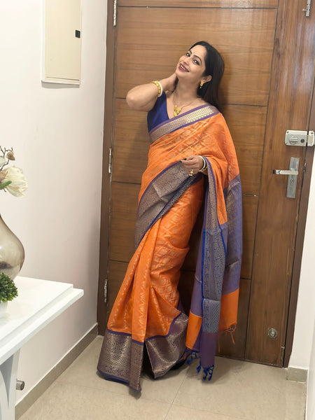 Reena Dwivedi In Banarsi Georgette Silk Sari. Available In 3 Colours