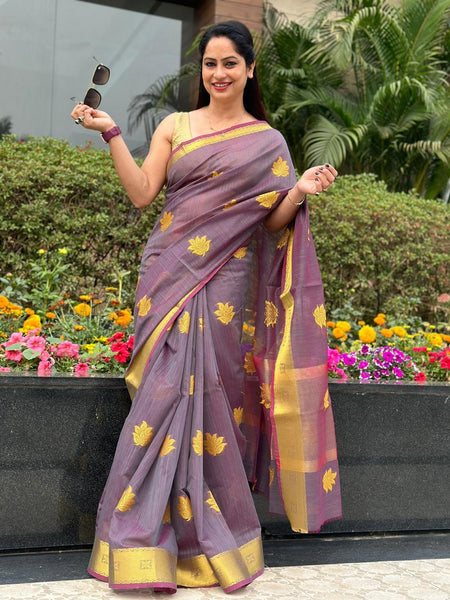 Reena Dwivedi In Designer Linen Saree With Zari Pallu